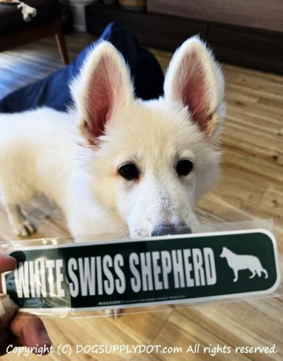 画像1: WHITE SWISS SHEPHERD [MAGSIGN] アメリカ道路ストリート標識 マグネット＆ステッカー：ホワイトスイスシェパード