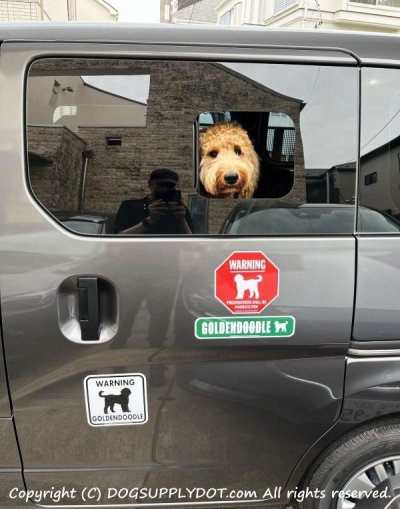 画像3: GOLDENDOODLE [MAGSIGN] アメリカ道路ストリート標識 マグネット＆ステッカー：ゴールデンドゥードル