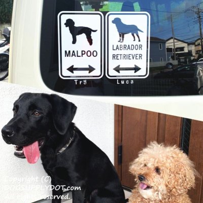 画像1: MALPOO [MAGSIGN] マルプー シルエット＆矢印 アメリカン道路標識 英語犬種名 マグネット/ステッカー：ホワイト