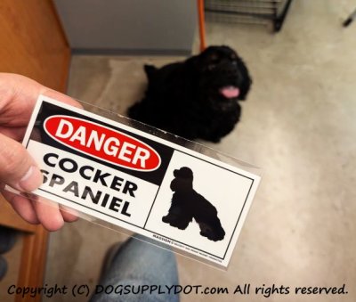 画像1: [MAGSIGN] コッカースパニエル マグネット＆ステッカー 英語 危ない 危険 DANGER COCKER SPANIEL 対象:車(ドア/ガラス/ボディ)・屋外(玄関扉/窓ガラス/メールポスト) 日本製