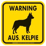 画像2: [MAGSIGN] WARNING AUS. KELPIE マグネット＆ステッカー：オーストラリアンケルピー(ホワイト/イエロー/オレンジ) 注意 英語 正方形 車＆屋外用(防水性/耐光性) 日本製 (2)