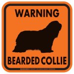 画像3: [MAGSIGN] WARNING BEARDED COLLIE マグネット＆ステッカー：ビアデッドコリー(ホワイト/イエロー/オレンジ) 注意 英語 正方形 車＆屋外用(防水性/耐光性) 日本製 (3)