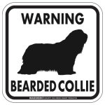 画像1: [MAGSIGN] WARNING BEARDED COLLIE マグネット＆ステッカー：ビアデッドコリー(ホワイト/イエロー/オレンジ) 注意 英語 正方形 車＆屋外用(防水性/耐光性) 日本製 (1)