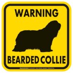 画像2: [MAGSIGN] WARNING BEARDED COLLIE マグネット＆ステッカー：ビアデッドコリー(ホワイト/イエロー/オレンジ) 注意 英語 正方形 車＆屋外用(防水性/耐光性) 日本製 (2)