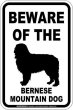 画像1: [MAGSIGN] バーニーズマウンテンドッグ 注意 英語 マグネット＆ステッカー BEWARE OF THE BERNESE MOUNTAIN DOG 車/屋外用 日本製 (1)