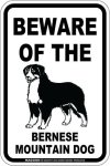 画像2: [MAGSIGN] バーニーズマウンテンドッグ 注意 英語 マグネット＆ステッカー BEWARE OF THE BERNESE MOUNTAIN DOG 車/屋外用 日本製 (2)