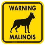 画像2: [MAGSIGN] WARNING MALINOIS マグネット＆ステッカー：マリノア(ホワイト/イエロー/オレンジ) 注意 英語 正方形 車＆屋外用(防水性/耐光性) 日本製 (2)