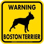 画像2: [MAGSIGN] WARNING BOSTON TERRIER マグネット＆ステッカー：ボストンテリア(ホワイト/イエロー/オレンジ) 注意 英語 正方形 車＆屋外用(防水性/耐光性) 日本製 (2)