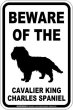 画像1: [MAGSIGN] キャバリアキングチャールズスパニエル 注意 英語 マグネット＆ステッカー BEWARE OF THE CAVALIER KING CHARLES SPANIEL 車/屋外用 日本製 (1)