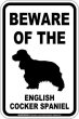 画像1: [MAGSIGN] イングリッシュコッカースパニエル 注意 英語 マグネット＆ステッカー BEWARE OF THE ENGLISH COCKER SPANIE 車/屋外用 日本製 (1)