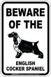 画像2: [MAGSIGN] イングリッシュコッカースパニエル 注意 英語 マグネット＆ステッカー BEWARE OF THE ENGLISH COCKER SPANIE 車/屋外用 日本製 (2)