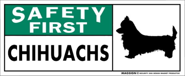 画像1: [MAGSIGN] チワックス マグネット＆ステッカー 英語 安全第一 SAFETY FIRST CHIHUACHS 対象:車(ドア/ガラス/ボディ)・屋外(玄関扉/窓ガラス/メールポスト) 日本製 (1)