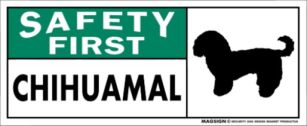 画像1: [MAGSIGN] チワマル マグネット＆ステッカー 英語 安全第一 SAFETY FIRST CHIHUAMAL 対象:車(ドア/ガラス/ボディ)・屋外(玄関扉/窓ガラス/メールポスト) 日本製 (1)