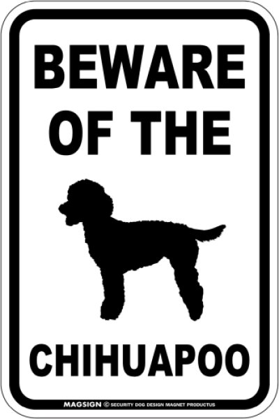 画像1: [MAGSIGN] チワプー 注意 英語 マグネット＆ステッカー BEWARE OF THE CHIHUAPOO  車/屋外用 日本製 (1)