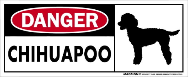 画像1: [MAGSIGN] チワプー マグネット＆ステッカー 英語 危ない 危険 DANGER CHIHUAPOO 対象:車(ドア/ガラス/ボディ)・屋外(玄関扉/窓ガラス/メールポスト) 日本製 (1)