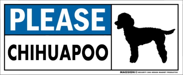 画像1: [MAGSIGN] チワプー マグネット＆ステッカー 犬 英語 喜ばせる 満足させる PLEASE CHIHUAPOO 対象:車(ドア/ガラス/ボディ)・屋外(玄関扉/窓ガラス/メールポスト) 日本製 (1)