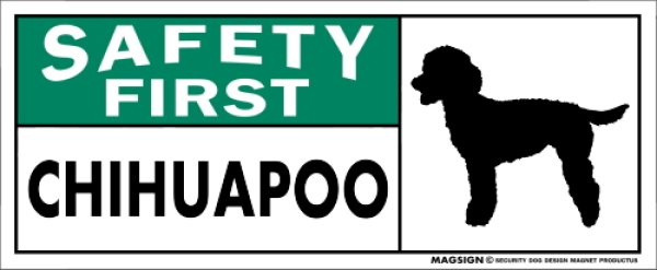 画像1: [MAGSIGN] チワプー マグネット＆ステッカー 英語 安全第一 SAFETY FIRST CHIHUAPOO 対象:車(ドア/ガラス/ボディ)・屋外(玄関扉/窓ガラス/メールポスト) 日本製 (1)