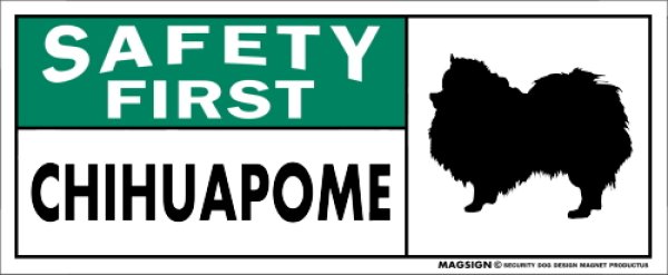 画像1: [MAGSIGN] チワポメ マグネット＆ステッカー 英語 安全第一 SAFETY FIRST CHIHUAPOME 対象:車(ドア/ガラス/ボディ)・屋外(玄関扉/窓ガラス/メールポスト) 日本製 (1)