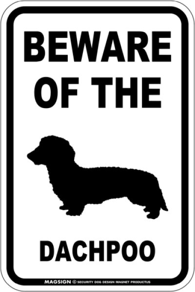 画像1: [MAGSIGN] ダップー 注意 英語 マグネット＆ステッカー BEWARE OF THE DACHPOO  車/屋外用 日本製 (1)