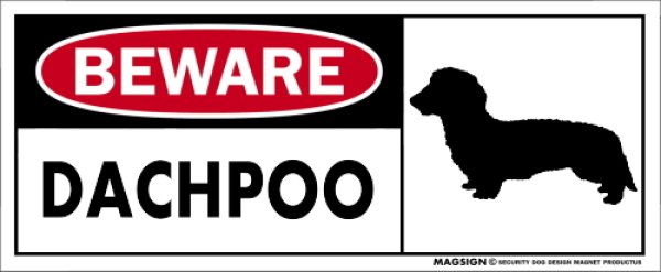 画像1: [MAGSIGN] ダップー マグネット＆ステッカー 犬 注意 英語 BEWARE DACHPOO 対象:車(ドア/ガラス/ボディ)・屋外(玄関扉/窓ガラス/メールポスト) 日本製 (1)