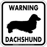 画像1: [MAGSIGN] WARNING DACHSHUND マグネット＆ステッカー：ミニチュアダックスフンド(ホワイト/イエロー/オレンジ) 注意 英語 正方形 車＆屋外用(防水性/耐光性) 日本製 (1)