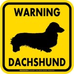 画像2: [MAGSIGN] WARNING DACHSHUND マグネット＆ステッカー：ミニチュアダックスフンド(ホワイト/イエロー/オレンジ) 注意 英語 正方形 車＆屋外用(防水性/耐光性) 日本製 (2)