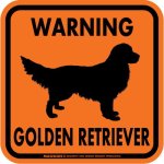 画像3: [MAGSIGN] WARNING GOLDEN RETRIEVER マグネット＆ステッカー：ゴールデンレトリーバー(ホワイト/イエロー/オレンジ) 注意 英語 正方形 車＆屋外用(防水性/耐光性) 日本製 (3)