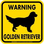 画像2: [MAGSIGN] WARNING GOLDEN RETRIEVER マグネット＆ステッカー：ゴールデンレトリーバー(ホワイト/イエロー/オレンジ) 注意 英語 正方形 車＆屋外用(防水性/耐光性) 日本製 (2)