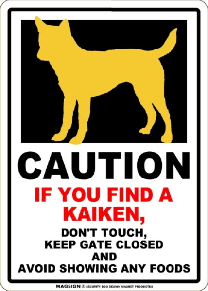 画像1: [MAGSIGN] CAUTION IF YOU FIND マグネット＆ステッカ：甲斐犬（ホワイト/イエロー） 手を出さない ドアは閉めたまま 食べ物は見せない 英語 警戒 車 屋外用(防水/耐水・耐光仕様) 日本製 (1)
