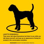 画像2: LAGOTTO ROMAGNOLO'S POEM [MAGSIGN] ポエムシリーズ マグネット＆ステッカー 防水/耐水・耐光性 日本製 英語＆シルエット：ラゴットロマニョーロ（ホワイト/イエロー） (2)