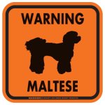 画像3: [MAGSIGN] WARNING MALTESE マグネット＆ステッカー：マルチーズ(ホワイト/イエロー/オレンジ) 注意 英語 正方形 車＆屋外用(防水性/耐光性) 日本製 (3)