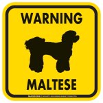 画像2: [MAGSIGN] WARNING MALTESE マグネット＆ステッカー：マルチーズ(ホワイト/イエロー/オレンジ) 注意 英語 正方形 車＆屋外用(防水性/耐光性) 日本製 (2)