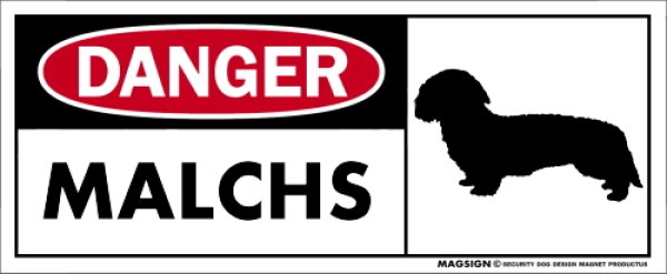 画像1: [MAGSIGN] マルックス マグネット＆ステッカー 英語 危ない 危険 DANGER MALCHS 対象:車(ドア/ガラス/ボディ)・屋外(玄関扉/窓ガラス/メールポスト) 日本製 (1)