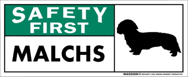 画像1: [MAGSIGN] マルックス マグネット＆ステッカー 英語 安全第一 SAFETY FIRST MALCHS 対象:車(ドア/ガラス/ボディ)・屋外(玄関扉/窓ガラス/メールポスト) 日本製 (1)