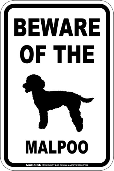 画像1: [MAGSIGN] マルプー 注意 英語 マグネット＆ステッカー BEWARE OF THE MALPOO  車/屋外用 日本製 (1)