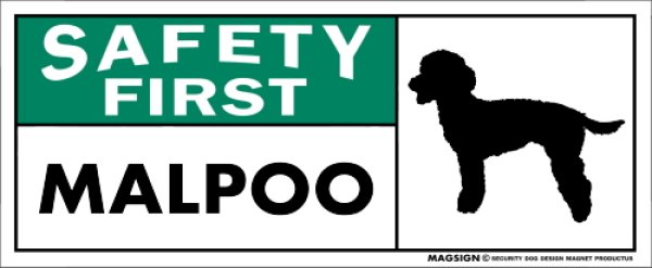 画像1: [MAGSIGN] マルプー マグネット＆ステッカー 英語 安全第一 SAFETY FIRST MALPOO 対象:車(ドア/ガラス/ボディ)・屋外(玄関扉/窓ガラス/メールポスト) 日本製 (1)