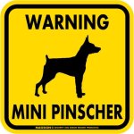 画像2: [MAGSIGN] WARNING MINI PINSCHER マグネット＆ステッカー：ミニチュアピンシャー(ホワイト/イエロー/オレンジ) 注意 英語 正方形 車＆屋外用(防水性/耐光性) 日本製 (2)