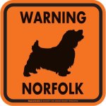 画像3: [MAGSIGN] WARNING NORFOLK マグネット＆ステッカー：ノーフォークテリア(ホワイト/イエロー/オレンジ) 注意 英語 正方形 車＆屋外用(防水性/耐光性) 日本製 (3)