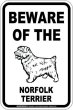 画像2: [MAGSIGN] ノーフォークテリア 注意 英語 マグネット＆ステッカー BEWARE OF THE NORFOLK TERRIER 車/屋外用 日本製 (2)