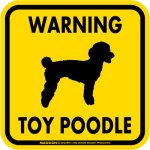 画像2: [MAGSIGN] WARNING TOY POODLE マグネット＆ステッカー：トイプードル(ホワイト/イエロー/オレンジ) 注意 英語 正方形 車＆屋外用(防水性/耐光性) 日本製 (2)