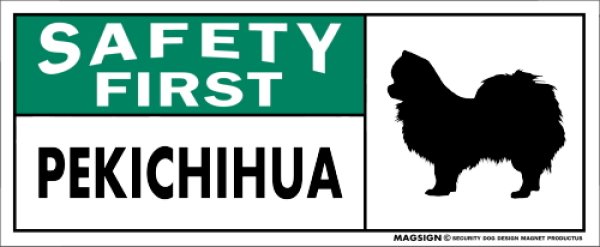 画像1: [MAGSIGN] ペキチワ マグネット＆ステッカー 英語 安全第一 SAFETY FIRST PEKICHIHUA 対象:車(ドア/ガラス/ボディ)・屋外(玄関扉/窓ガラス/メールポスト) 日本製 (1)