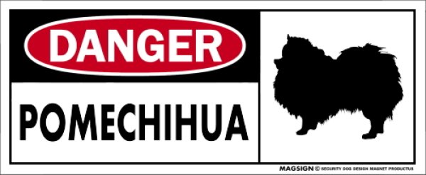 画像1: [MAGSIGN] ポメチワ マグネット＆ステッカー 英語 危ない 危険 DANGER POMECHIHUA 対象:車(ドア/ガラス/ボディ)・屋外(玄関扉/窓ガラス/メールポスト) 日本製 (1)