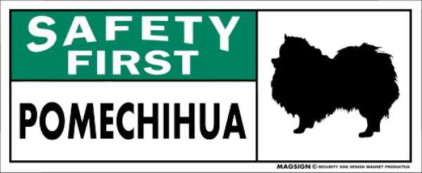 画像1: [MAGSIGN] ポメチワ マグネット＆ステッカー 英語 安全第一 SAFETY FIRST POMECHIHUA 対象:車(ドア/ガラス/ボディ)・屋外(玄関扉/窓ガラス/メールポスト) 日本製 (1)