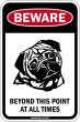 画像1: [MAGSIGN] この先いつもパグに注意/配慮/警戒 BEYOND THIS POINT AT ALL TIME マグネット＆ステッカー PUG ローマ字ロゴ入り 車/屋外用 日本製 (1)