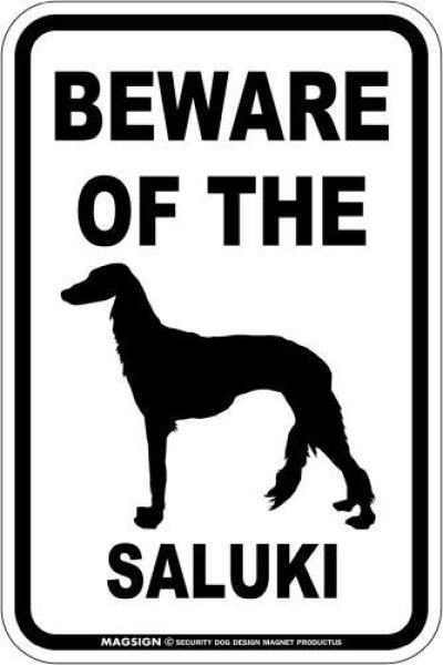 画像1: [MAGSIGN] サルーキ 注意 英語 マグネット＆ステッカー BEWARE OF THE SALUKI 車/屋外用 日本製 (1)