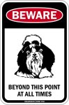 画像1: [MAGSIGN] この先いつもシーズーに注意/配慮/警戒 BEYOND THIS POINT AT ALL TIME マグネット＆ステッカー SHIH TZU ローマ字ロゴ入り 車/屋外用 日本製 (1)