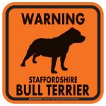 画像3: [MAGSIGN] WARNING STAFFORDSHIRE BULL TERRIER マグネット＆ステッカー：スタッフォードシャーブルテリア(ホワイト/イエロー/オレンジ) 注意 英語 正方形 車＆屋外用(防水性/耐光性) 日本製 (3)