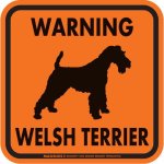 画像3: [MAGSIGN] WARNING WELSH TERRIER マグネット＆ステッカー：ウェルシュテリア(ホワイト/イエロー/オレンジ) 注意 英語 正方形 車＆屋外用(防水性/耐光性) 日本製 (3)