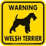 画像2: [MAGSIGN] WARNING WELSH TERRIER マグネット＆ステッカー：ウェルシュテリア(ホワイト/イエロー/オレンジ) 注意 英語 正方形 車＆屋外用(防水性/耐光性) 日本製 (2)