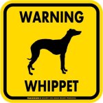 画像2: [MAGSIGN] WARNING WHIPPET マグネット＆ステッカー：ウィペット(ホワイト/イエロー/オレンジ) 注意 英語 正方形 車＆屋外用(防水性/耐光性) 日本製 (2)